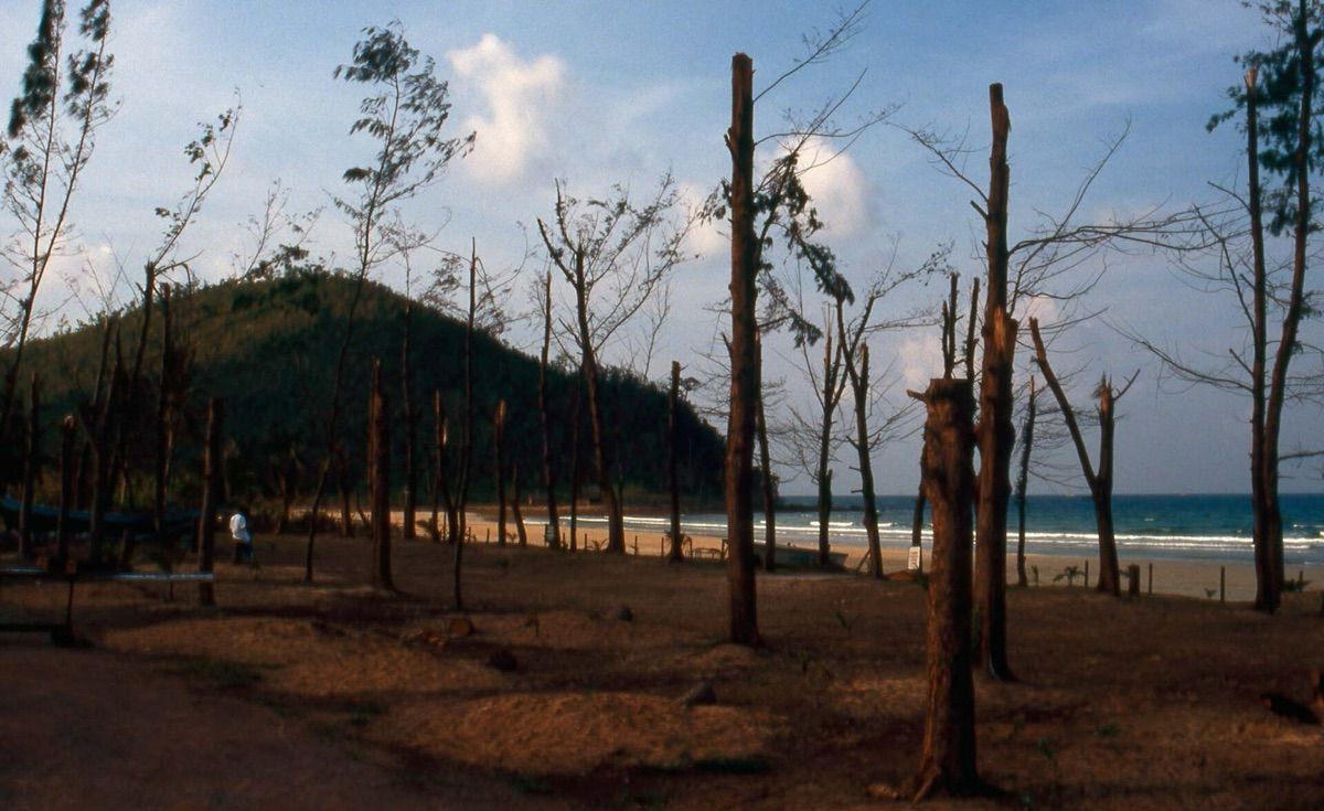 Chumphon (ชุมพร)