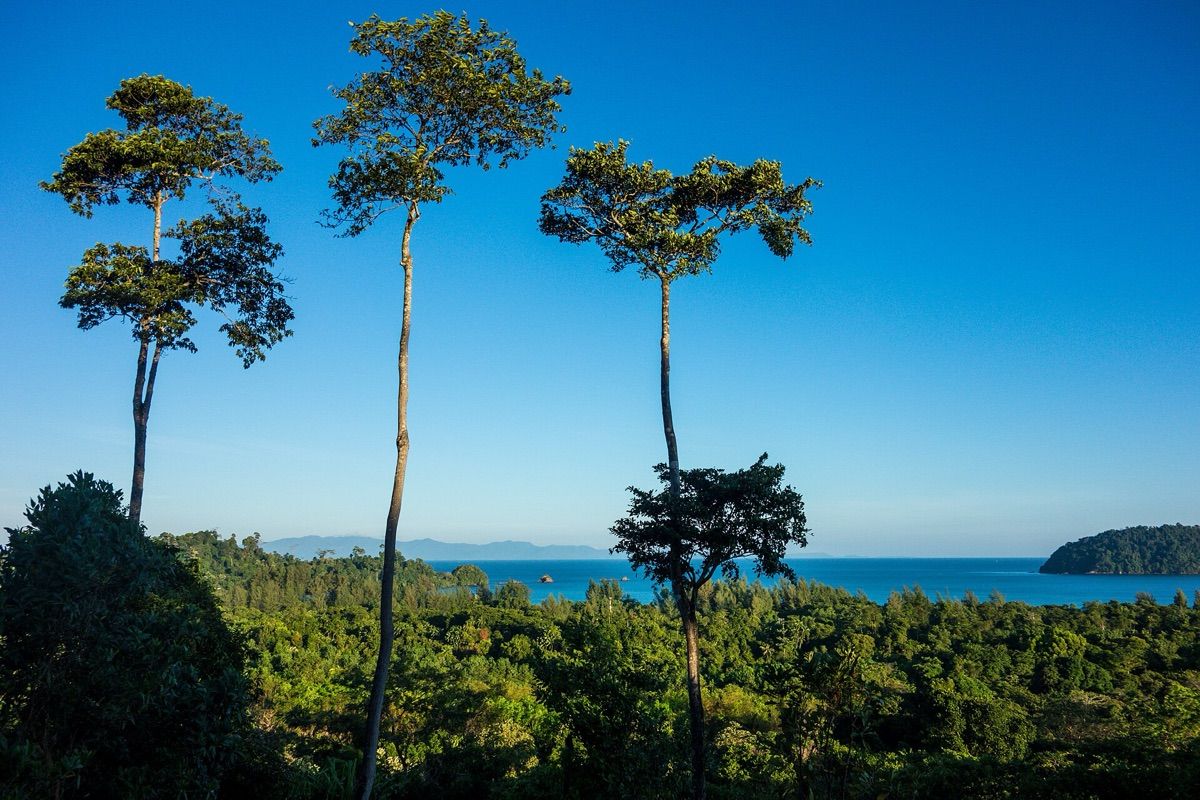 Koh Phayam (เกาะพยาม)