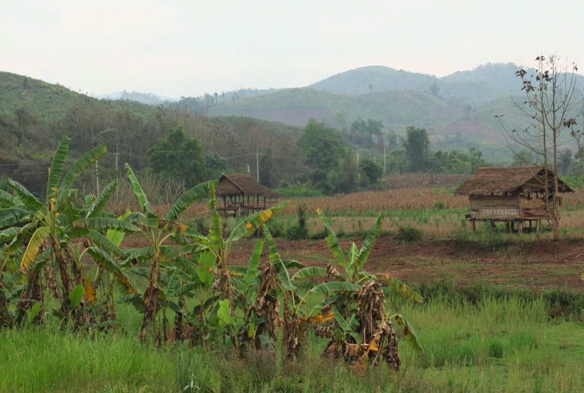 Luang Namtha (ຫຼວງນ້ຳທາ)