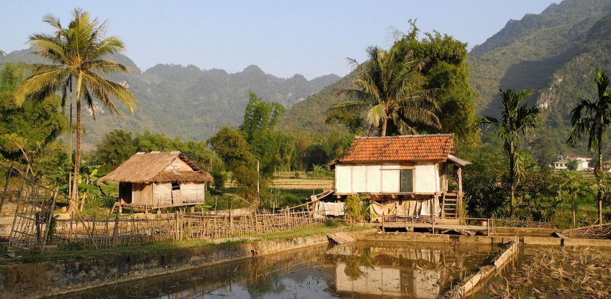Mai Chau (Mai Châu)