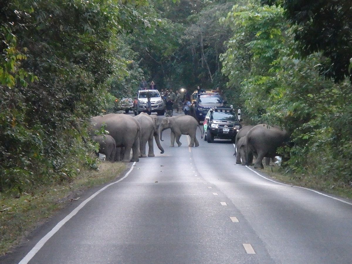 Nakhon Nayok (นครนายก)