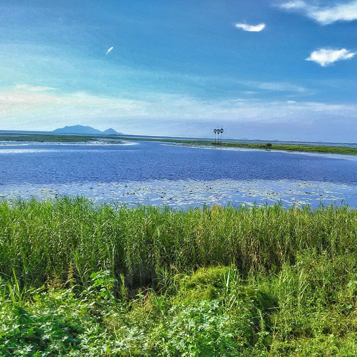 Nakhon Sawan (นครสวรรค์)