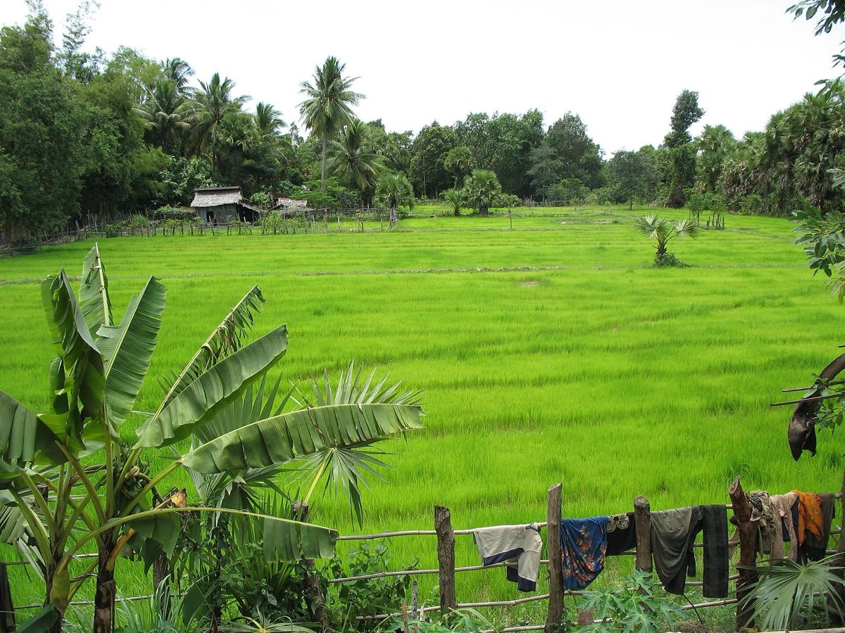 Pursat (ពោធិ៍សាត់)