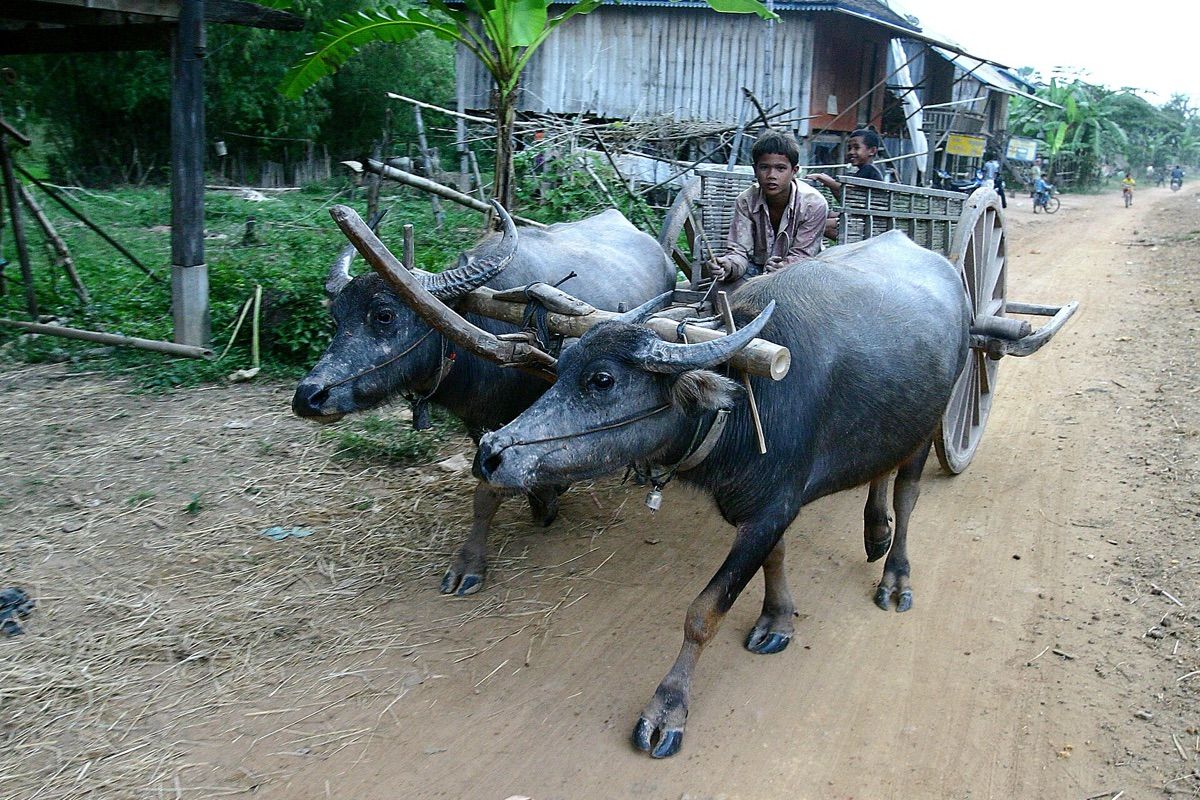 Stung Treng (ស្ទឹងត្រែង)